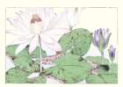 65 photo65_small.jpg